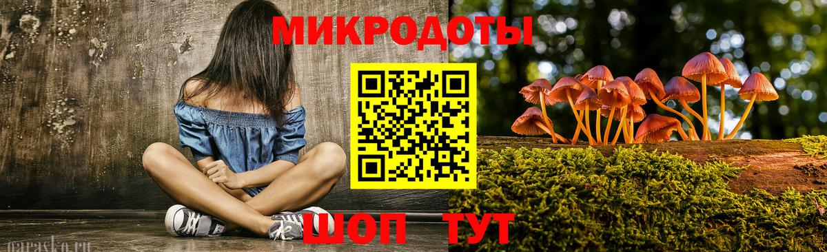 Курчатов  Галлюциногенные грибы Cubensis  Вход с VPN  Галлюциногенные грибы GOLDEN TEACHER 