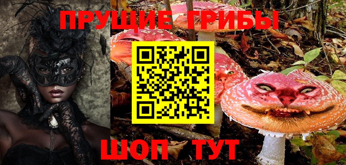 Галлюциногенные грибы Psilocybine cubensis Курчатов